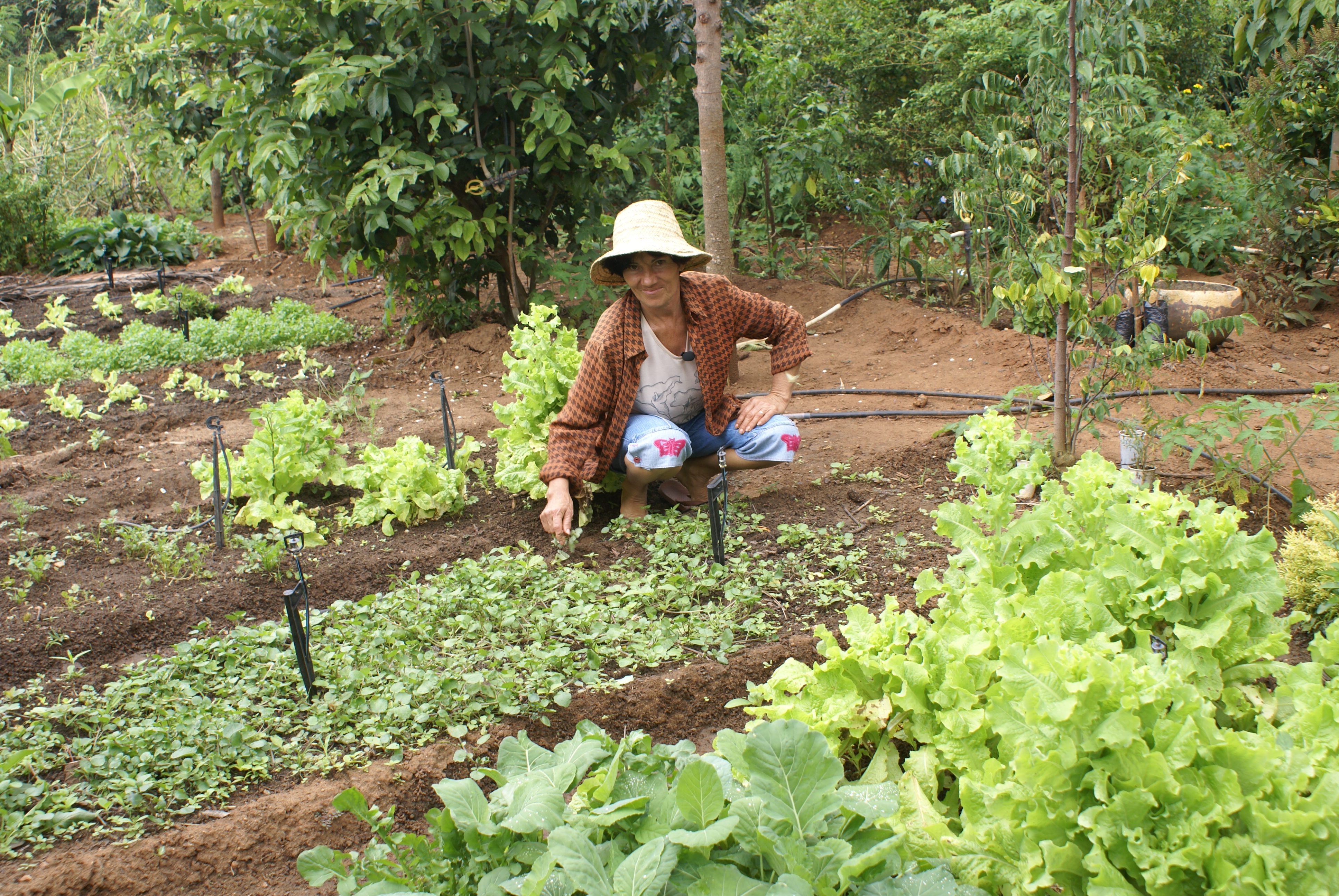 Agricultora em seu quintal produtivo.JPG